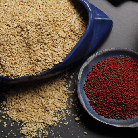 Avi-Agri_Indian-Soyabean-Meal (1)