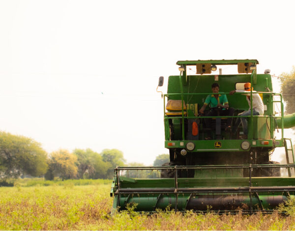 Avi Agri Banners-1